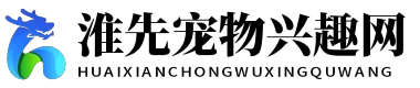 淮先宠物兴趣网
