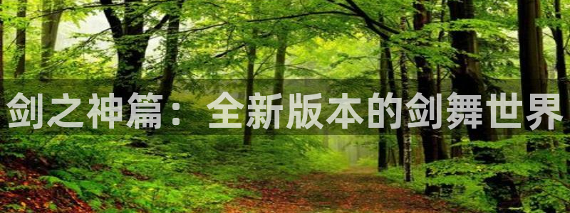 囧次元是什么：剑之神篇：全新版本的剑舞世界