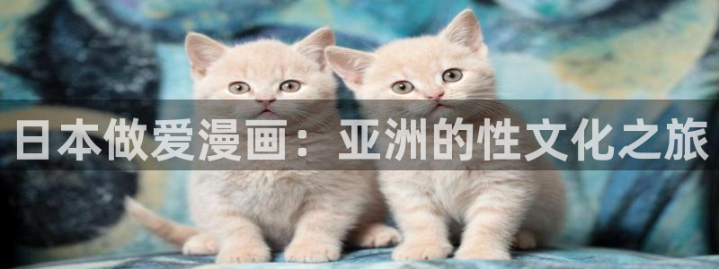 囧次元a：日本做爱漫画：亚洲的性文化之旅