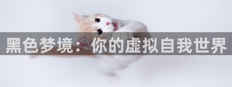 囧次元看动漫：黑色梦境：你的虚拟自我世界