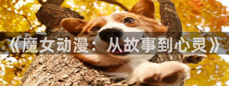 囧次元软件：《魔女动漫：从故事到心灵》