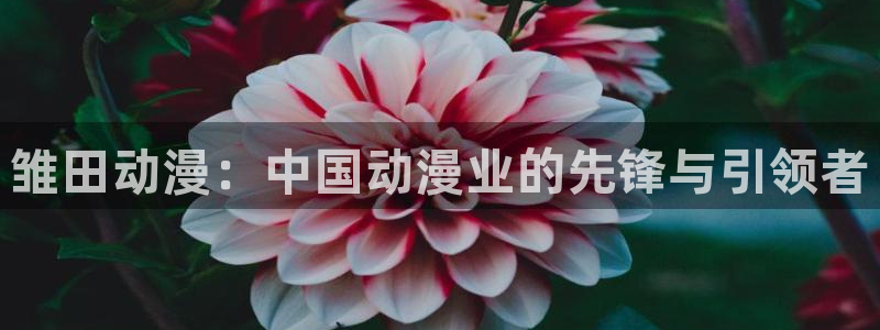 囧次元正版：雏田动漫：中国动漫业的先锋与引领者